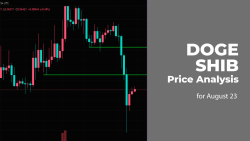 DOGE and SHIB Price Analysis for August 23