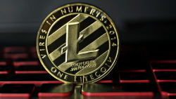Litecoin (LTC) Down 95% Against BTC: Bad Choice for Your Portfolio, Says Analyst