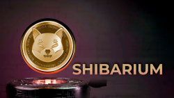 Shiba Inu Developer Gives Important Clarification as Shibarium Goes Live
