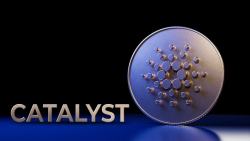 Cardano Catalyst Testnet Goes Live, Here's Its Significance