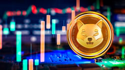 Trillions of Shiba Inu (SHIB) Shifted From Exchanges in Major Move