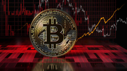Bitcoin (BTC) HODL Metrics at Five-Year Highs