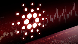 Cardano's Scary September Secret: Here's What ADA Community Should Be Ready For