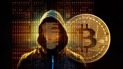 5th Biggest Mysterious Bitcoin Wallet Owner Is Somebody Totally Unexpected: Report