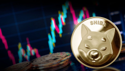 Shiba Inu Price Decoded: Here's What SHIB Community Can Expect in September