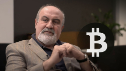 "Black Swan" Author Slams Bitcoin as a Fad