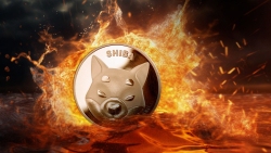 SHIB Army Burns Millions of Shiba Inu, Pushing Burn Rate High into Green