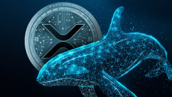 Did Whales Deny XRP's Attempt to Reach New Price Threshold? Data Dive