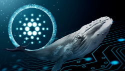 Cardano (ADA) Whales Now Hold Highest Levels of ADA: Pump Incoming?