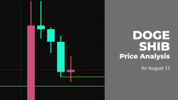 DOGE and SHIB Price Analysis for August 13