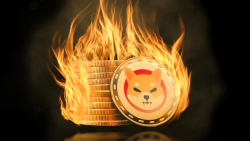 Shiba Inu Sees Epic 1.1 Billion SHIB Weekly Burn First Time in Months