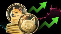 Shiba Inu (SHIB) and Dogecoin (DOGE) Lead Meme Coin Surge, Decoupling From Bitcoin