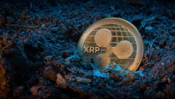 XRP Takes Breathtaking Twist: Millions Came, But This Week, It's Zero