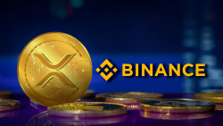 Binance's XRP Balance Showcased in Latest PoR Report, Is There Cause for Concern?