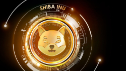 Shiba Inu (SHIB) May Hit Roadblock Soon, But Here's the Play