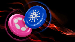 Cardano (ADA), Polkadot (DOT) Might Be High-Risk Altcoin Play Now: Analyst