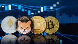 SHIB, DOGE, BTC, ETH Now Part of Groundbreaking New Service for Managing Finances