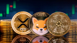 XRP, ADA and SHIB Might Be Top Beneficiaries of Rising Bitcoin Open Interest, Here's Why