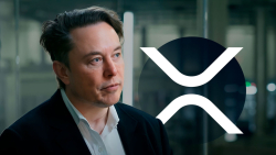 Elon Musk Provokes XRP Army's Heated Reaction With His New Tweet