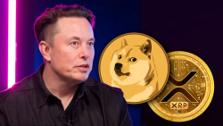 Elon Musk&#039;s New X Post &#039;Approved&#039; by Crypto Community: XRP, DOGE Armies