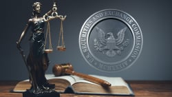 Former SEC Official Questions Lack of DOJ Action in Crypto Cases