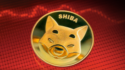 Here's Why Shiba Inu (SHIB) Trading Volume Crash Is Good News