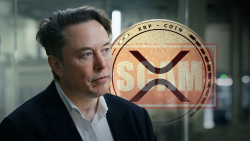 Elon Musk Under Fire for Allowing XRP Scam Posts to Proliferate