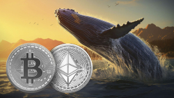 BTC, ETH Whales Playing Waiting Game, Here's How