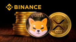 Shiba Inu, XRP Holders Should Pay Attention to This Binance Announcement