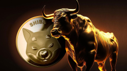 Shiba Inu (SHIB) Bulls Show 485% Dominance on Buying Side: Reversal Imminent?
