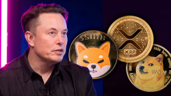 Elon Musk Triggers Reaction of DOGE, SHIB, XRP Armies With His Tweet