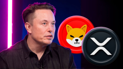 Elon Musk's New Cryptic Tweet Triggers Hot Response From XRP and SHIB Lovers