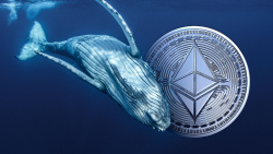 Massive Ethereum Whale With 4,890 ETH Suffers Losses After Error Moves