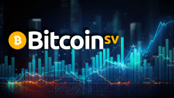 Bitcoin SV (BSV) Almost Doubled in 30 Days: Possible Reasons