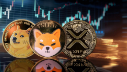 SHIB, XRP, DOGE Can Now Be Bought Through Range of Global Banking Payment Methods: BitPay
