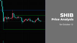 SHIB Price Analysis for October 13