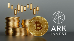Bitcoin (BTC) Crucial Price Point Right Now Revealed by Ex-ARK Invest Expert