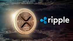 Almost 500 Million XRP Shoveled in Last 24 Hours, Ripple Giant Involved