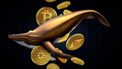Cardano (ADA) Joins BTC and ETH as Whales' Transactions Break Three-Month Record