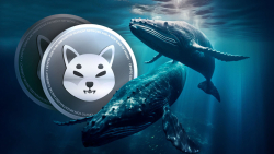 Shiba Inu Whales Wake up, With Trillions of SHIB Moved