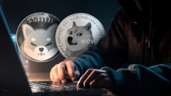 ‘Lucky Shiba’: DOGE Founder Inspires Both DOGE and SHIB Armies With This