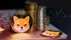 Shiba Inu (SHIB) Key Indicator Paints Picture You Don't Want to See