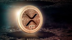 XRP Top Wallet Unveils Exciting News for XRP Holders