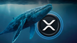 XRP Whale Moves 412 Million Coins in One Go, What Is Plan?