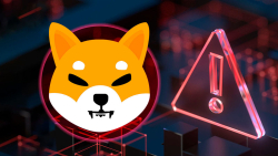 Big New SHIB Project Website Faces Issue With User Login Feature