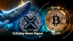 XRP Whales Responsible for This 23% Price Increase, BTC Target Remains $36,500-$37,000, SHIB Member Teases New Updates Coming: Crypto News Digest by U.Today