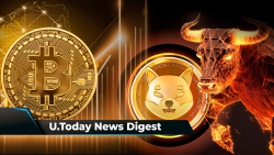 BTC Eyes $40,000 as It Heads for Fourth Green Week in Row, Horrifyingly Realistic Ripple Scam Emerges, Shiba Inu Lead Signals SHIB's Readiness for Bull Market: Crypto News Digest by U.Today