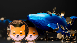 414 Billion Shiba Inu (SHIB) Transfer Made by Anonymous Whales: What's Happening?