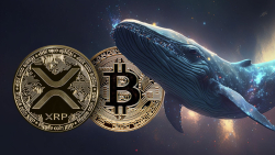 XRP and Bitcoin (BTC) Witness Jaw-Dropping Whale Transfer Activity