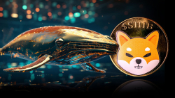 4.4 Trillion SHIB Shoveled by Anon Whales as Price Begins to Increase